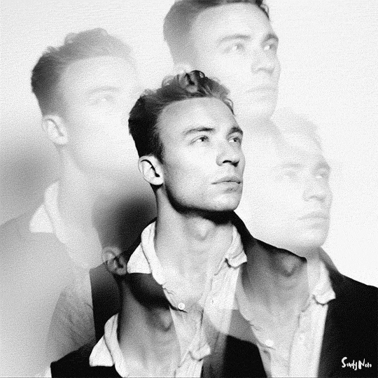 Multicoloredanimals GIFs Get the best GIF on GIPHY