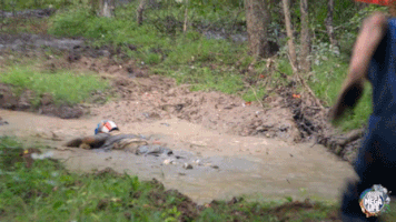 200.gif?cid=fc005b082bc0a1b7b7448aa3c05bd0d3ae3d72f0d72fc364&rid=200.gif&ct=g