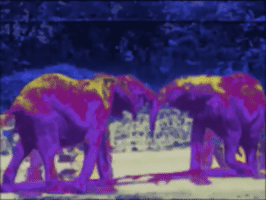 MFDtheArtist art trippy houston elephants GIF