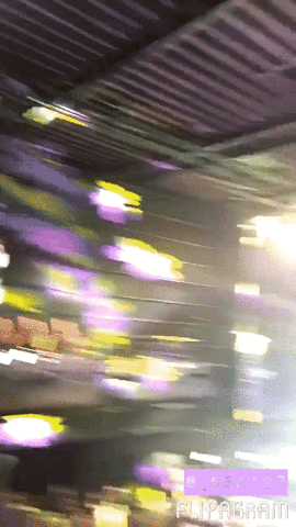 trangsaki  GIF