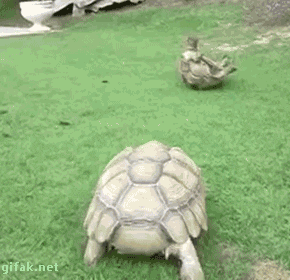 Friendship Help GIF by Demic - Find & Share on GIPHY