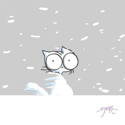 Cat Cold Morning GIF by marko