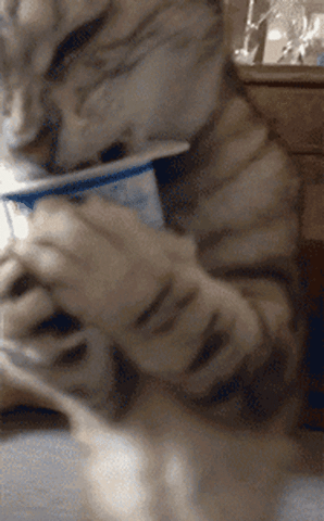 alexeykiyanitsa  GIF
