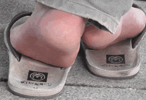 phtsint  GIF