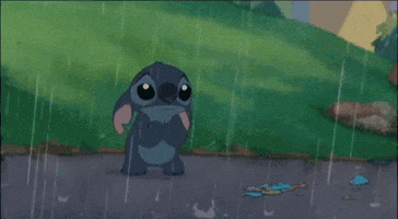 ioananastase funny funny gifs funny or die funny pics GIF