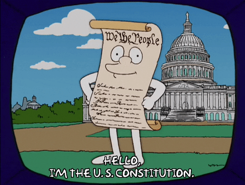 Constitutional meme gif