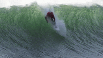 Kelly Slater Surf GIF