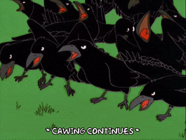 episode 16 crows GIF