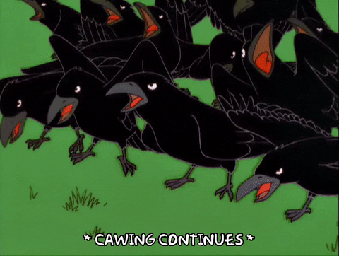 crows meme gif