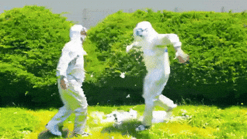 diarrhea planet chest bump GIF by Infinity Cat Recordings