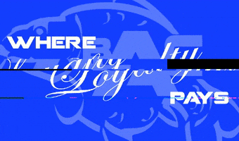 Bristol Angling Centre GIF