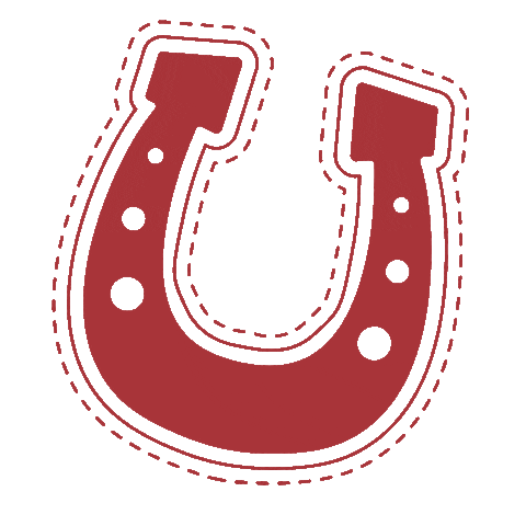 Horseshoe Countryfest Sticker by 98.7 The Bull