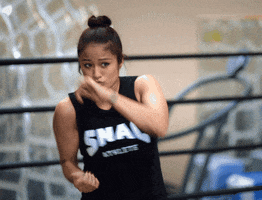 shadow box punches GIF by Yevbel