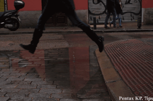 Sanmoran pentax kp GIF