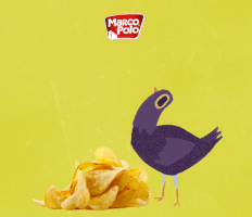 snacks  GIF