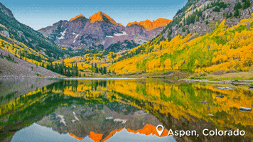 colorado aspen GIF by Visit The USA