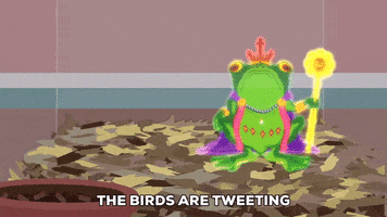bird talking GIF by South Park 