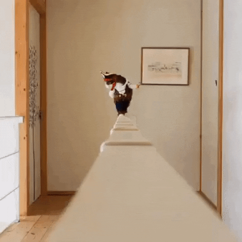 enote  GIF
