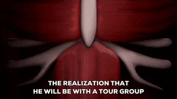 tour group body GIF by South Park 
