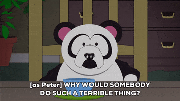 panda peter GIF by South Park 