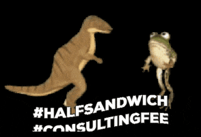 meliskuyumcuoglu  GIF