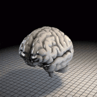 brain GIF by Martin Onassis