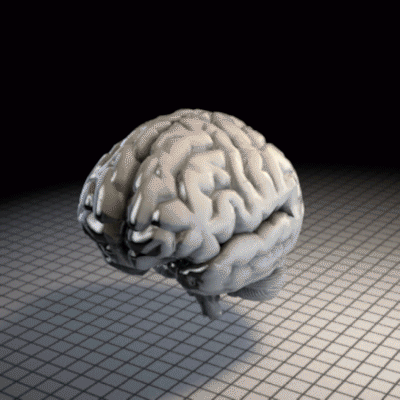 source.gif