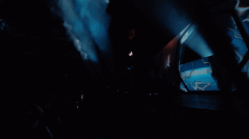white panda GIF by Webster Hall