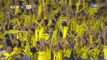 wwos #icc2016 #9wwos GIF