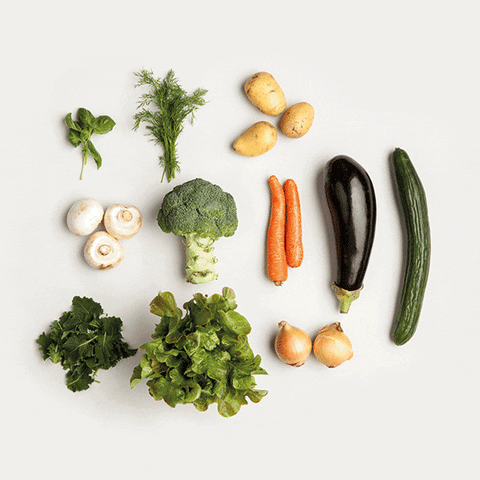 katariinakarjalainen  GIF