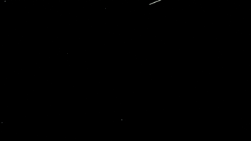 roevy roevy GIF