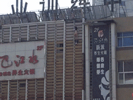 terencetsang  GIF