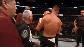 Conor Mcgregor Hug GIF by UFC
