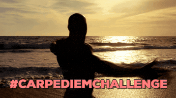 nhile-6738  GIF