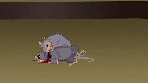 Body Rat GIF by South Park  - Find & Share on GIPHY