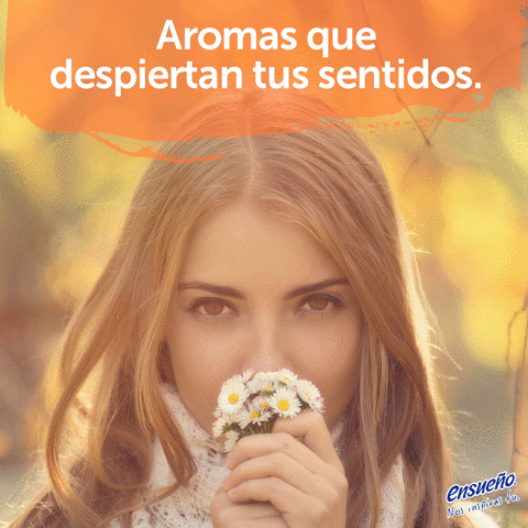 ensuenomexico lluvia cafÃ© aroma ensueÃ±o GIF