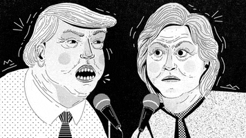 Presidential Election Trump GIF by Abbey Lossing
