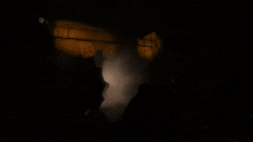 lsprigx  GIF