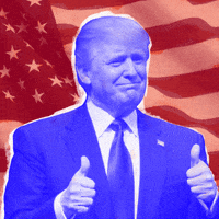 Voting Donald Trump GIF by GIPHY Studios Originals