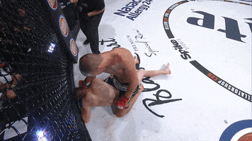 knock out mma GIF by Bellator