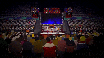 fans boxing GIF by South Park 