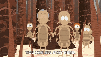 plan insects GIF by South Park 