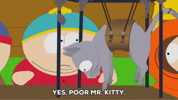 eric cartman meow GIF by South Park 