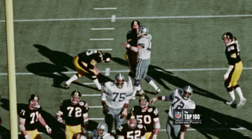 Pittsburgh Steelers GIF by NFL