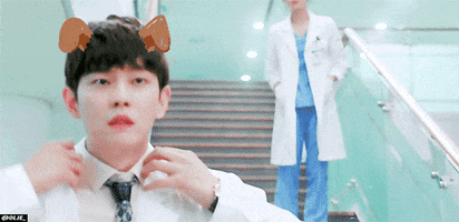 noc  GIF