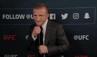 Punch Punching GIF by UFC