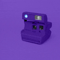 Camera Love GIF by Slanted Studios