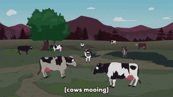 japanese cows GIF by South Park 