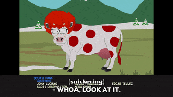 cow end credits GIF by South Park 