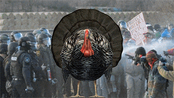 standing rock water GIF by Jess Mac standing rock water GIF by Jess Mac